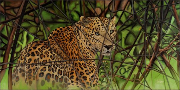 Leopard in Bandipur